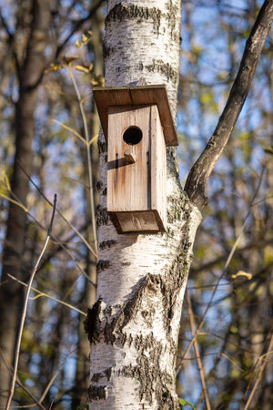 nature of urban forest parkの写真素材