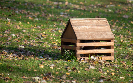 nature of urban forest parkの写真素材