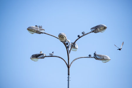 metal pipe, antenna, lamp, against the skyの写真素材