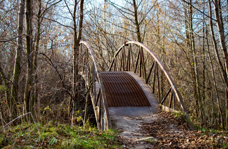 nature of urban forest parkの写真素材