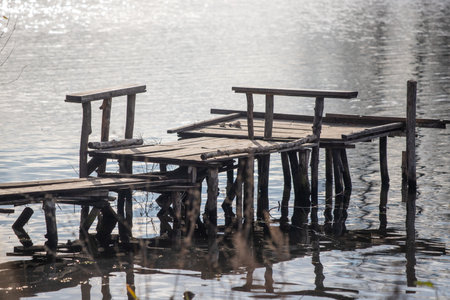 nature of urban forest parkの写真素材