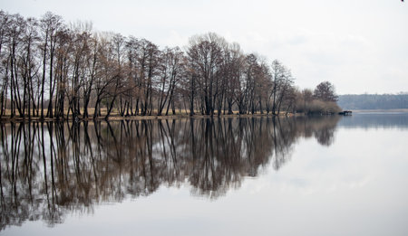 nature of urban forest parkの写真素材