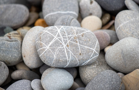 large sea pebble background stoneの写真素材