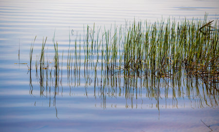 beautiful blue water background under the sunの写真素材