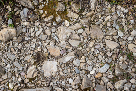 large sea pebble background stoneの写真素材