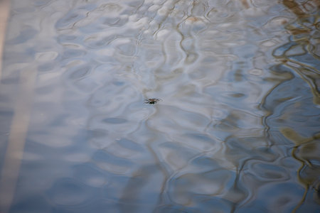 beautiful blue water background under the sunの写真素材