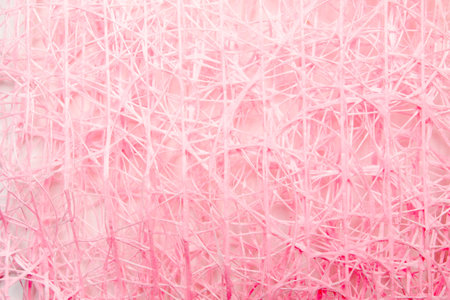 Abstract mesh background, macrame, texture.の写真素材