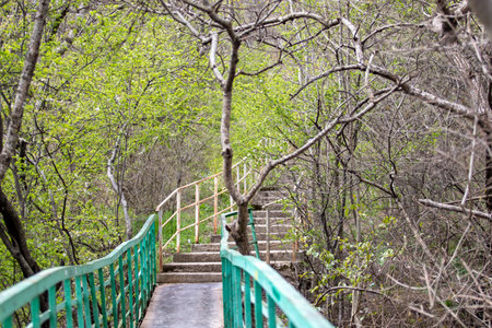 iron wooden bridge in a city parkの写真素材