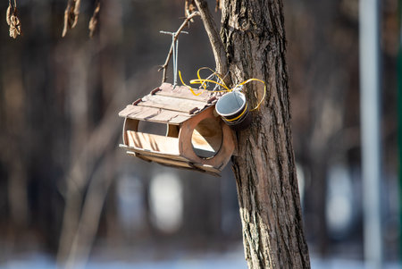 tree trunk tree bark closeup in natureの写真素材