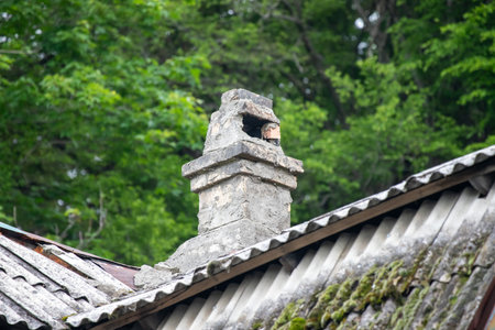A chimney on a roof with moss growing on it.の写真素材