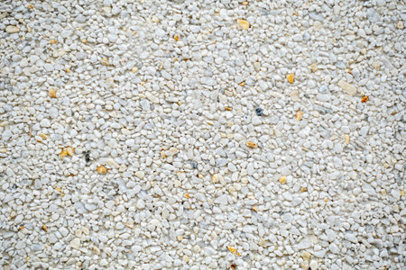 A white background with a lot of white rocks. The rocks are scattered all over the background. The background is very plain and simpleの写真素材