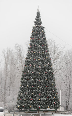 A large Christmas tree with many ornaments is standing in a snowy field. The tree is surrounded by trees and he is the center of attention in the sceneの写真素材
