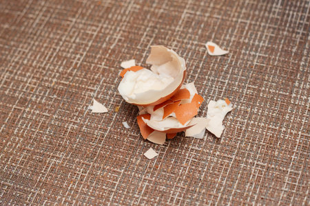 A broken eggshell on a table. The shell is cracked and has bits of egg inside. Concept of fragility and the fleeting nature of lifeの写真素材