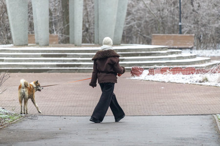 A woman is walking her dog on a snowy day. The woman is wearing a brown coat and black pants. The scene is peaceful and calm, with the snow covering the groundの写真素材