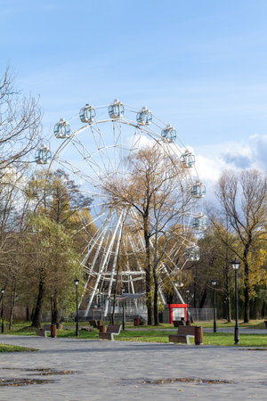 A large white Ferris wheel is in the middle of a park. The park is empty and the sky is clearの写真素材