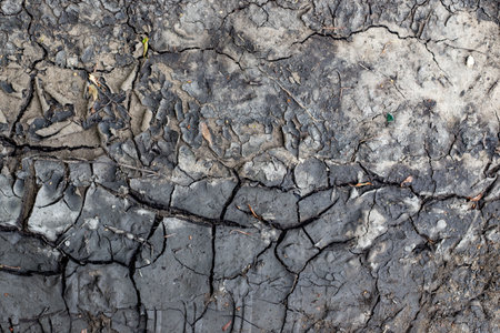 A cracked and broken surface with a few leaves and a green leaf. The surface is rough and unevenの写真素材