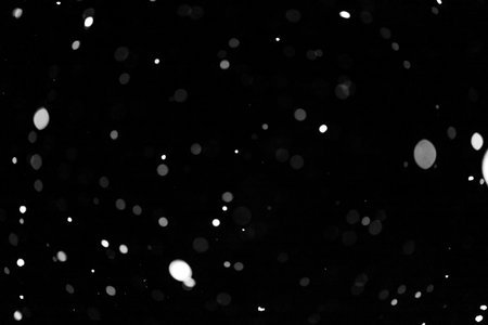 A black and white photo of snowflakes falling on a dark background. Concept of calmness and serenity, as the snowflakes gently fall and create a peaceful atmosphereの写真素材