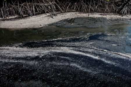 Mangrove forest called Black Sand Beach  Haad sai dam  at Tard Thailandの写真素材