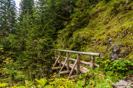 Photo was taken in High Tatras mountains on Polish side ,Poland.の写真素材