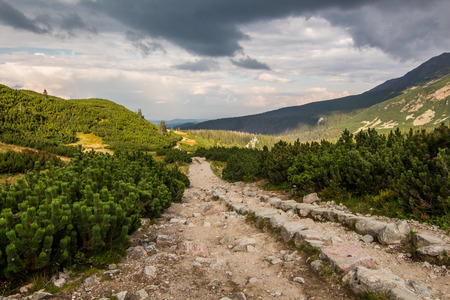 Photo was taken in High Tatras mountains on Polish side on the way down from  Kasprowy Wierch (peak) ,Poland.の写真素材