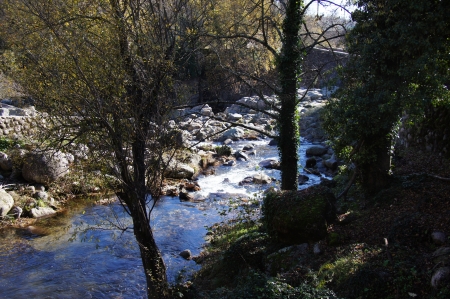 Mountain river, rocks, stone bridge, trees with moss and ivy, backlighting, autumn leaves, Vera, Spainの写真素材