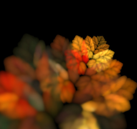 Abstract black background with red and orange old autumn leaf texture, fractalの写真素材