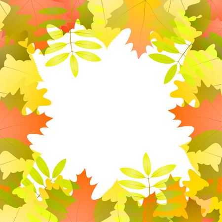 Vector background with autumn leaves around white space, in red, green, white and orange colorのイラスト素材