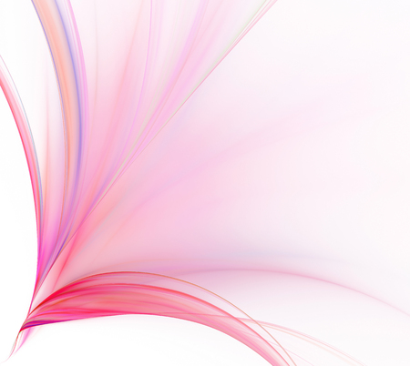 Abstract white background. Colorful explosion or bouquet of rose stripes. Floral purple and pink pattern. Fractal texture.の写真素材