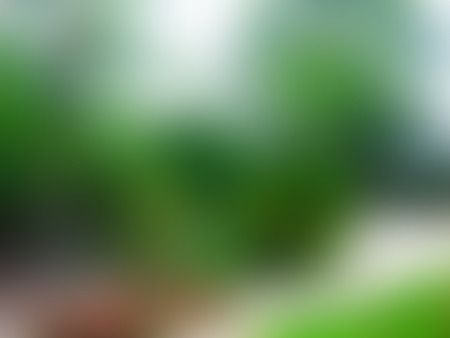 Summer blurred background with green, white, grey and red spots texture, in vectorのイラスト素材