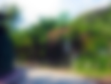 Summer background with sunny road and trees, blurred texture, in vectorのイラスト素材