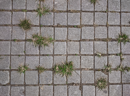 Square grey tiles on the floor with green grass and moss in the rifts. Rusty gray background with...