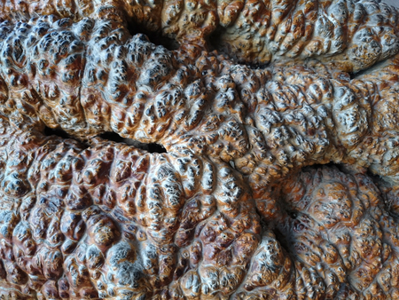 Grey ancient bubbly stone, relief structure. Brown lava rock background texture. Uneven surface with pimples. Clinker wall or ground rusty pattern.の写真素材