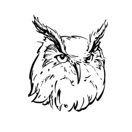 Realistic black and white drawing of an owl's head. For coloring. Vector illustration.のイラスト素材