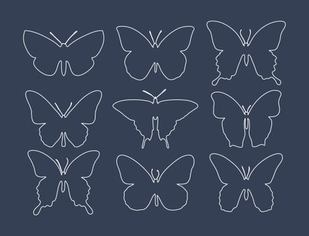 Set of different butterflies in line style for print and design. Vector illustration.のイラスト素材