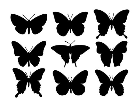A set of butterflies in silhouette style on a white background for printing and design. Vector illustration.のイラスト素材