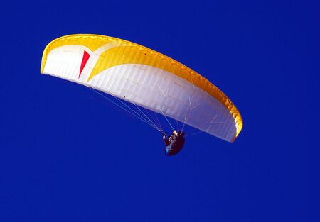 Paragliding in the setting sun.の写真素材