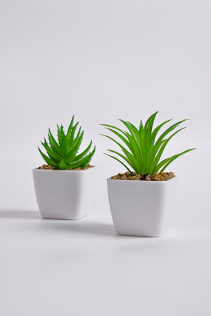 Plastic green plants in pots. Fake plant in a pot isolated on a white background. Interior decoration.の写真素材