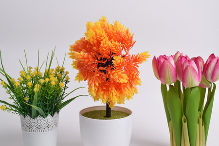 Set of artificial plants in pots isolated on white background. Interior decorationの写真素材