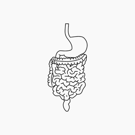 vector illustration of Digestion outline design. good for healthy poster.のイラスト素材