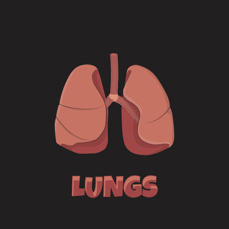 Lungs vector illustration in pink color design for health templateのイラスト素材