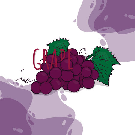 purple Grape with line art in cartoon designのイラスト素材