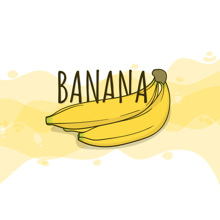 Banana vector illustration with line art designのイラスト素材