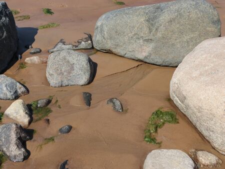 Granite boulders and wet beach sand with marks left by retreating waves and some sea weedsの写真素材