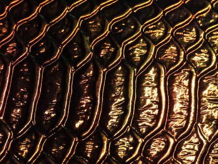 Background texture: light from various angles on a crocodile pattern embossed holographic surface creates different colors, selective focus area changed for each photo. Gold brown.の写真素材