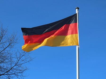 Germany flag bold and proud floating in the wind against sunny blue sky, early spring, leafless treesの写真素材
