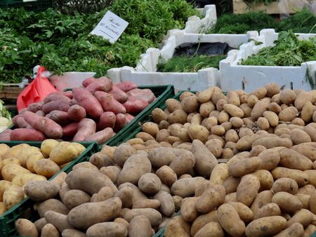 Potatoes and greens for sale on open air street marketのeditorial素材