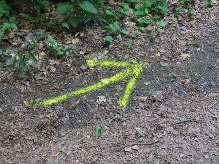 Bright yellow arrow drawn on the ground: Camino de Santiago marking in Luxembourg, Mullerthal region