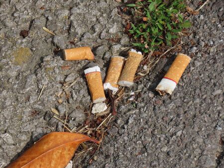 Old cigarette butts littering the asphalt covered ground. Stop smokingの写真素材