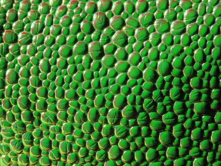 Background texture. Light on a goosebump pattern embossed holographic surface creates green colour, selective focusの写真素材