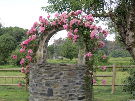 Old grey stone well with pink roses growing over the archの写真素材